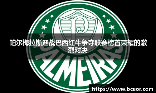 帕尔梅拉斯迎战巴西红牛争夺联赛榜首荣耀的激烈对决